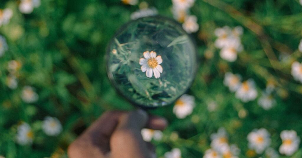 Stop Being Clever: The Case for Clear Marketing